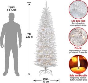 img 2 attached to 🌲 7-Foot National Tree Company Artificial Slim Kingswood Fir Christmas Tree, Pre-Lit White, with Stand and White Lights