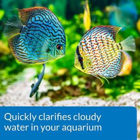 img 2 attached to ACCU-CLEAR Water Clarifier for Freshwater Aquariums - Quickly Clears Cloudy Water, Ideal for Weekly Use