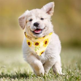 img 3 attached to 🌻 Sunflower Dog Collar Bandana Leash Set - CiyvoLyeen 3PCS, Ideal for Small Medium Pets Puppies, Perfect for Outdoor Walking, Running, Training in Summer & Fall, Great Dog Scarf Gift