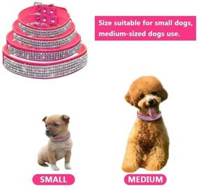 img 3 attached to Dazzle Your Pet with the haoyueer Cute Sparkling Rhinestone Leather Collar - Crystal Diamond Pet Dog Cat Collar