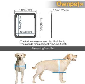 img 3 attached to 🚪 Premium OWNPETS Lockable Dog Screen Door: 12x14x0.4 Inch Pet Flap with Magnetic Self-Closing & Locking Function - Sturdy, Convenient, and Secure!