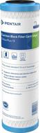 🚰 pentair pentek chlorplus10 carbon water filter, 10-inch, chloramine reduction carbon replacement cartridge, 10&#34; x 2.5&#34;, 1 micron – under sink logo