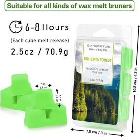 img 1 attached to 🕯️ LASENTEUR Wax Melts Cubes - Handmade Soy Wax Melts for Warmers: Winds in Summer, Ocean Breeze, Fresh Linen, Bohemia Forest (4x2.5oz)
