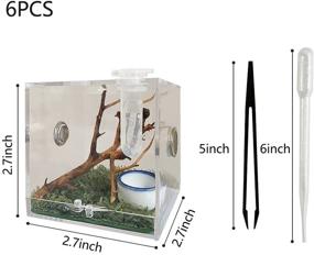 img 3 attached to JOBEDE Terrarium Enclosure Tarantula Invertebrates