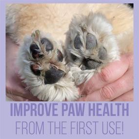 img 3 attached to 🐾 Kibble Pet Pawfect Paw & Snout Balm: Смягчающий бальзам для собак с сухой кожей лап и пятачка, натуральная и органическая формула, производство США - 1 унция.