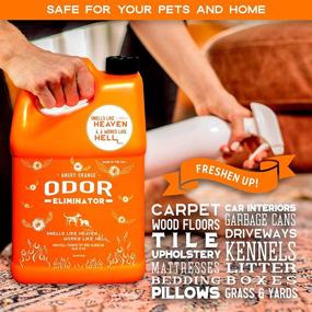 img 1 attached to 🍊 Powerful Pet Odor Eliminator: ANGRY ORANGE Citrus Deodorizer for Dog or Cat Urine Smells on Carpet, Furniture & Floors - Puppy Supplies
