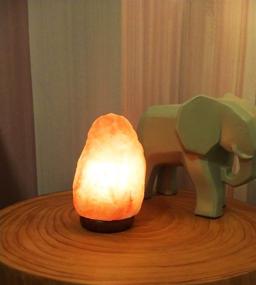 img 1 attached to 🔮 Himalayan Salt Lamp in Natural Shape, Genuine Neem Wood Base, 2 Light Bulbs Included, 5-9 Inches Height, 5-9 Pounds Weight