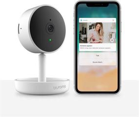 img 4 attached to 📷 2K Home Security Camera: blurams Indoor Cam with Facial Recognition, 2-Way Talk, Smart Alerts, Privacy Area, Night Vision, Cloud/Local Storage, Compatible with Alexa, Google Assistant, and IFTTT