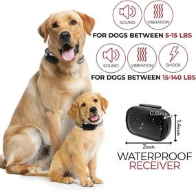 img 2 attached to 🐶 Enrivik Small Size Dog Training Collar: Remote-Controlled Perfect Solution for 5-15lbs Small Dogs - Waterproof &amp; 1000 Feet Range