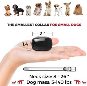 img 3 attached to 🐶 Enrivik Small Size Dog Training Collar: Remote-Controlled Perfect Solution for 5-15lbs Small Dogs - Waterproof &amp; 1000 Feet Range