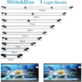 img 3 attached to Enhance Your Aquarium with the MLJ LED Aquarium Light: Waterproof, White with Blue and RGB Colors, Submersible LED Light for Fish Tank!