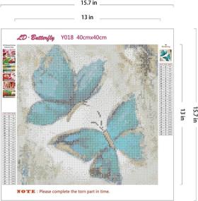 img 1 attached to Painting Butterfly Rhinestone Embroidery Gift 16X16