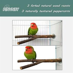 img 2 attached to 🐦 Natural Bird Wood Perch Toy Sticks for Parakeets, Cockatiels, Macaws, Finches - 6 Pack