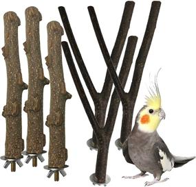 img 4 attached to 🐦 Natural Bird Wood Perch Toy Sticks for Parakeets, Cockatiels, Macaws, Finches - 6 Pack