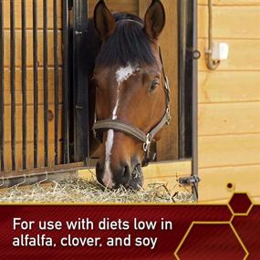 img 3 attached to 🐎 Vita Flex Pure Lysine - Продолжительный 151-дневный запас, 4 фунта