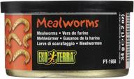 🐛 exo terra pt1958 canned mealworms: specialty reptile food for enhanced nutrition and health логотип
