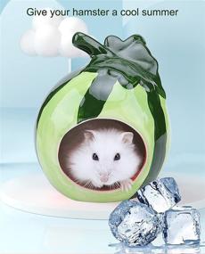 img 2 attached to Besimple Hamster Adorable Chinchilla Watermelon