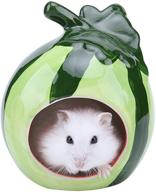 besimple hamster adorable chinchilla watermelon logo