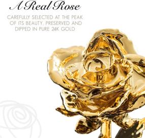 img 2 attached to Forever Rose Real 24K Gold Rose: Handcrafted One-of-a-Kind Beauty Dipped in 24K Gold, Ensuring Eternal Splendor