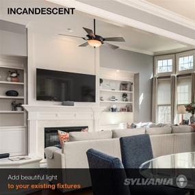 img 2 attached to 💡 Sylvania 10029 Incandescent General Lighting