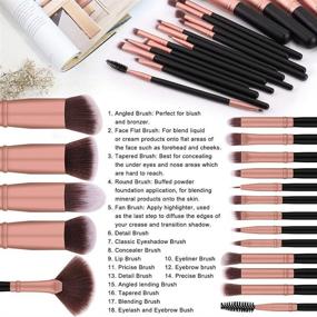 img 1 attached to 🌟 Premium Synthetic Eye Makeup Brushes Kit - BS-MALL 18pcs for Blending Eyeshadow, Concealer, Eyeliner, Eyebrow (Rose Gold)