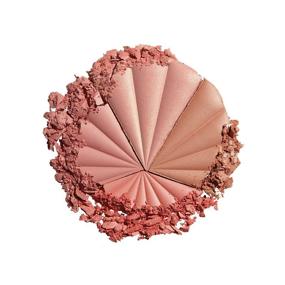 img 1 attached to Milani Color Harmony Blush Palette - Berry Rays: Vegan, Cruelty-Free Powder Compact with 4 Matte Shades for Contouring, Shaping, and Highlighting