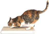 🐱 4claws flat cat scratching pad (2 pack, white) - basics collection cat scratcher for enhanced seo logo