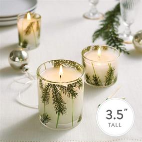 img 1 attached to 🌲 6.5 Oz Thymes Green Glass Candle - Fragrant Frasier Fir Scent