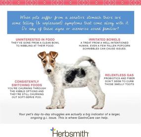 img 1 attached to 🌿 Herbsmith GastroCare: Effective Digestive Support for Cats & Dogs with Sensitive Stomachs