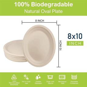 img 3 attached to 🍽️ BangShou Super Rigid Bagasse Disposable Heavy-Duty Oval Paper Plates - 10" BBQ, Buffet Plates, Microwave & Freeze Safe - 30-Pack, Biodegradable Natural Paper Plates - Eco-Friendly, Compostable, Cookies Plates