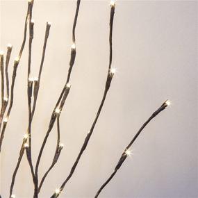 img 4 attached to 🌿 EAMBRITE 3PK 30" Brown Lighted Twig Branches Pathway Light, 60 LED Warm White Bulbs, Suitable for Outdoor and Indoor Use