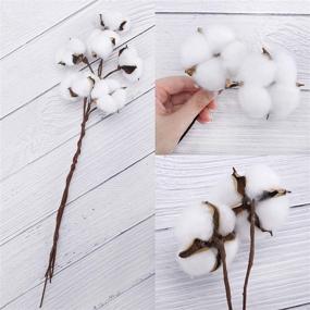 img 2 attached to 🌾 CEWOR 20pcs Cotton Stems, Artificial Cotton Floral Stems for Vase Home Decor, Faux Farmhouse Cotton Flowers, Dried Cotton Picks Stalks Plants