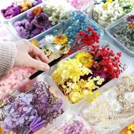 pressed flower scrapbooking supplies: enhance your memories with floral elegance logo