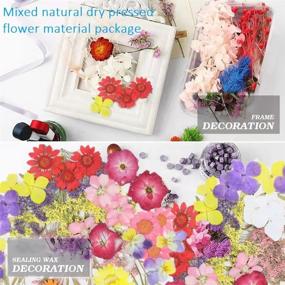 img 3 attached to Pressed Flower Scrapbooking Supplies: Enhance Your Memories with Floral Elegance
