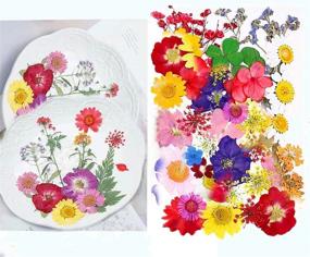 img 2 attached to Pressed Flower Scrapbooking Supplies: Enhance Your Memories with Floral Elegance