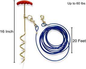 img 3 attached to 🐶 Prankish-Pet Dog Stake: The Ultimate Tether System for Active Small to Medium Pets in Yard, Camping, or Outdoors