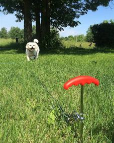 img 1 attached to 🐶 Prankish-Pet Dog Stake: The Ultimate Tether System for Active Small to Medium Pets in Yard, Camping, or Outdoors