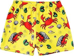 img 4 attached to YOUNGER STAR Toddler Animals Turtles Boys' Clothing ~ Swim