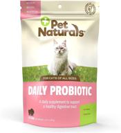 🐈 pet naturals of vermont - daily probiotic for cats: improve digestion with 30 bite-sized chews logo