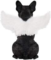 👼 weeh pet halloween costume: cosplay angel devil black white wing for dog cat rabbit piggy - funny gift at halloween party anime theme birthday christmas logo