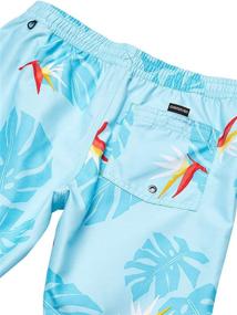 img 1 attached to Quiksilver Destination Volley Boardshort Pagoda