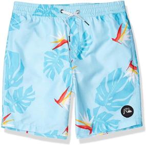 img 2 attached to Quiksilver Destination Volley Boardshort Pagoda