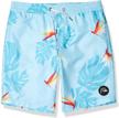 quiksilver destination volley boardshort pagoda logo