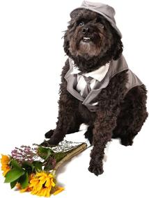 img 1 attached to 🐶 Midlee Gray Dog Wedding Tuxedo Suit with Top Hat & Leash