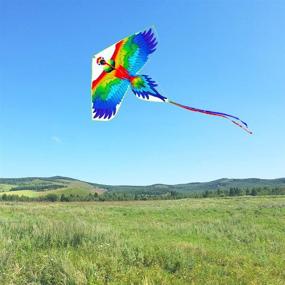 img 2 attached to Kaidenic 57inch Parrot Kite: 🪁 Easy-to-Fly Fun for Kids and Adults (Blue)