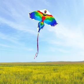 img 1 attached to Kaidenic 57inch Parrot Kite: 🪁 Easy-to-Fly Fun for Kids and Adults (Blue)