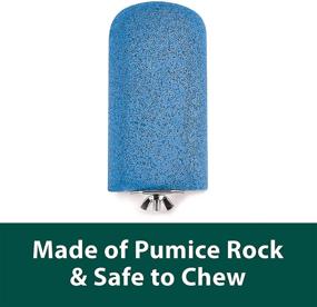 img 2 attached to 🦜 Kaytee Lava Ledge: The Ultimate Chew Toy and Perch for Small Pets