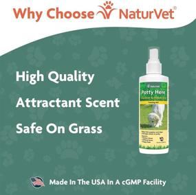 img 1 attached to 🐶 NaturVet Potty Here Training Aid Spray: Efficient Scent to Train Dogs & Puppies Where to Potty – Designed for Indoor & Outdoor Use