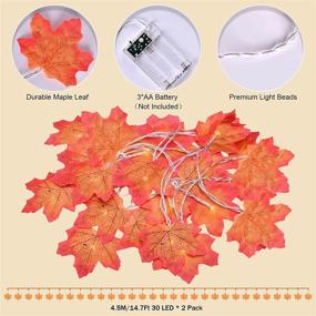 img 2 attached to Fall Decorations for Home - 2-Pack 29.4Ft 60 LED Maple Leaves String Lights - Battery Operated Lights for Thanksgiving Halloween Christmas Indoor Outdoor Decor - Clearance