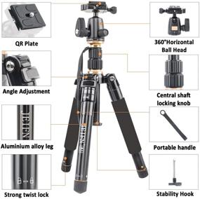 img 3 attached to JEIFN 60-Inch Portable Lightweight Camera Tripod with 360 Degree Ball Head and Phone Holder - Perfect for Canon Nikon Sony DSLR Cameras